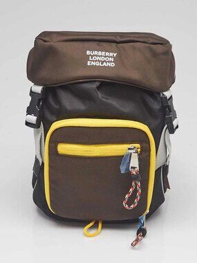 Burberry Brown/Black Nylon Leo Belt Pouch Crossbody Bag